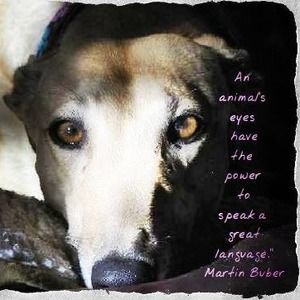 Meet your Posher, Maureen